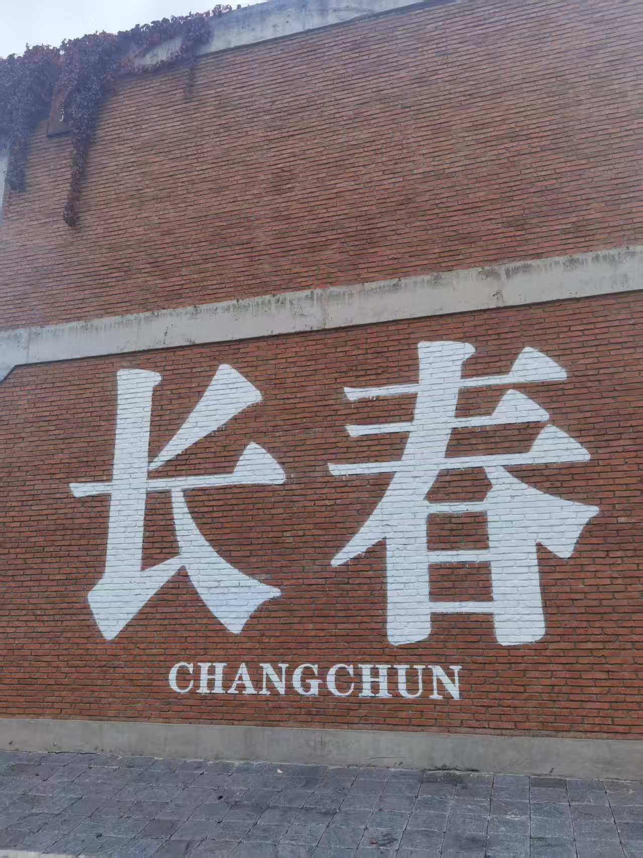 示意圖片